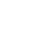 Annual Report（年次報告書）